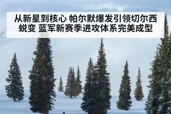 从新星到核心 帕尔默爆发引领切尔西蜕变 蓝军新赛季进攻体系完美成型