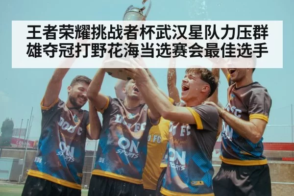 王者荣耀挑战者杯武汉星队力压群雄夺冠打野花海当选赛会最佳选手